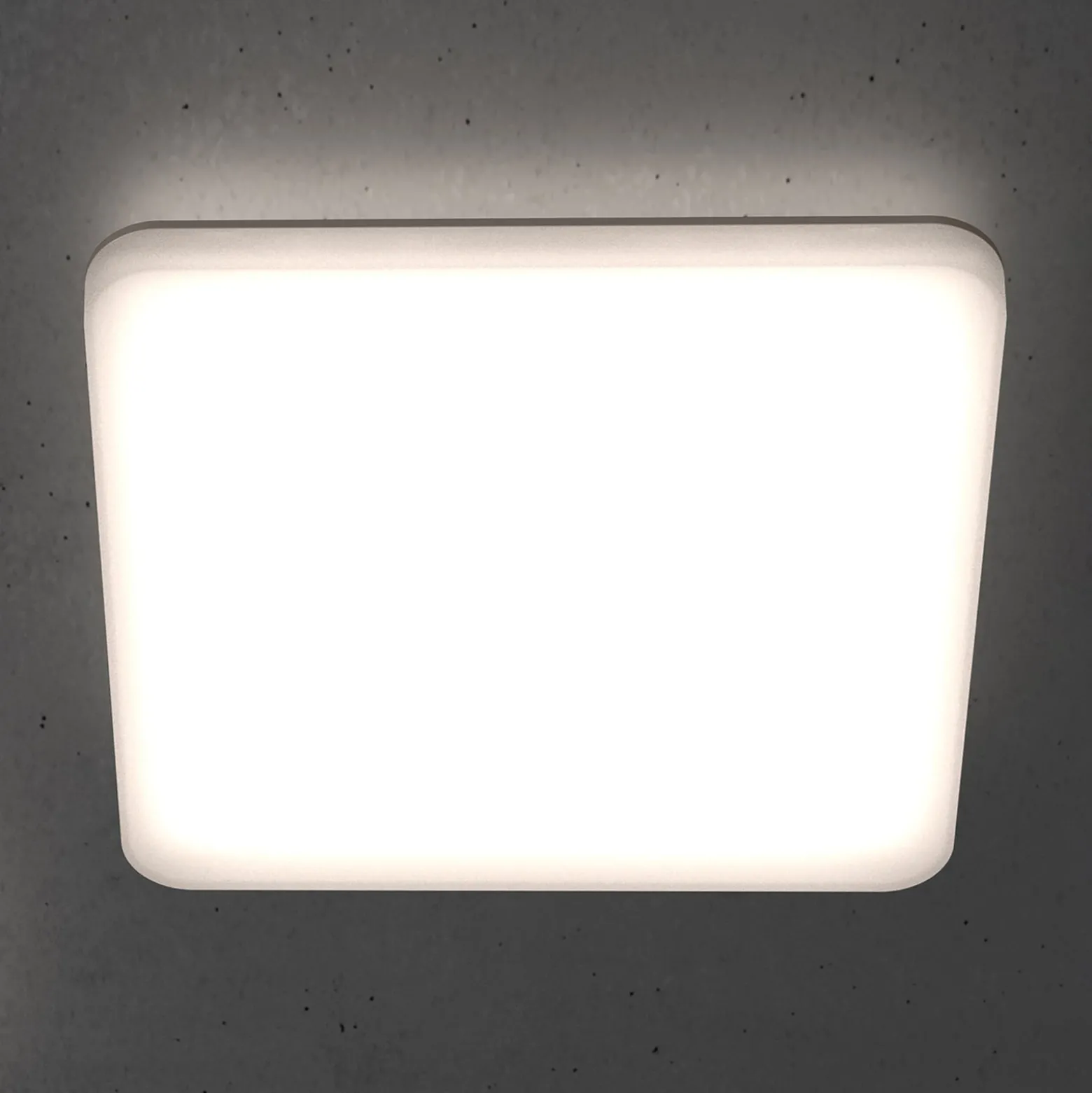 STEINEL RS PRO R20 Q basic LED-Deckenlampe 4.000K