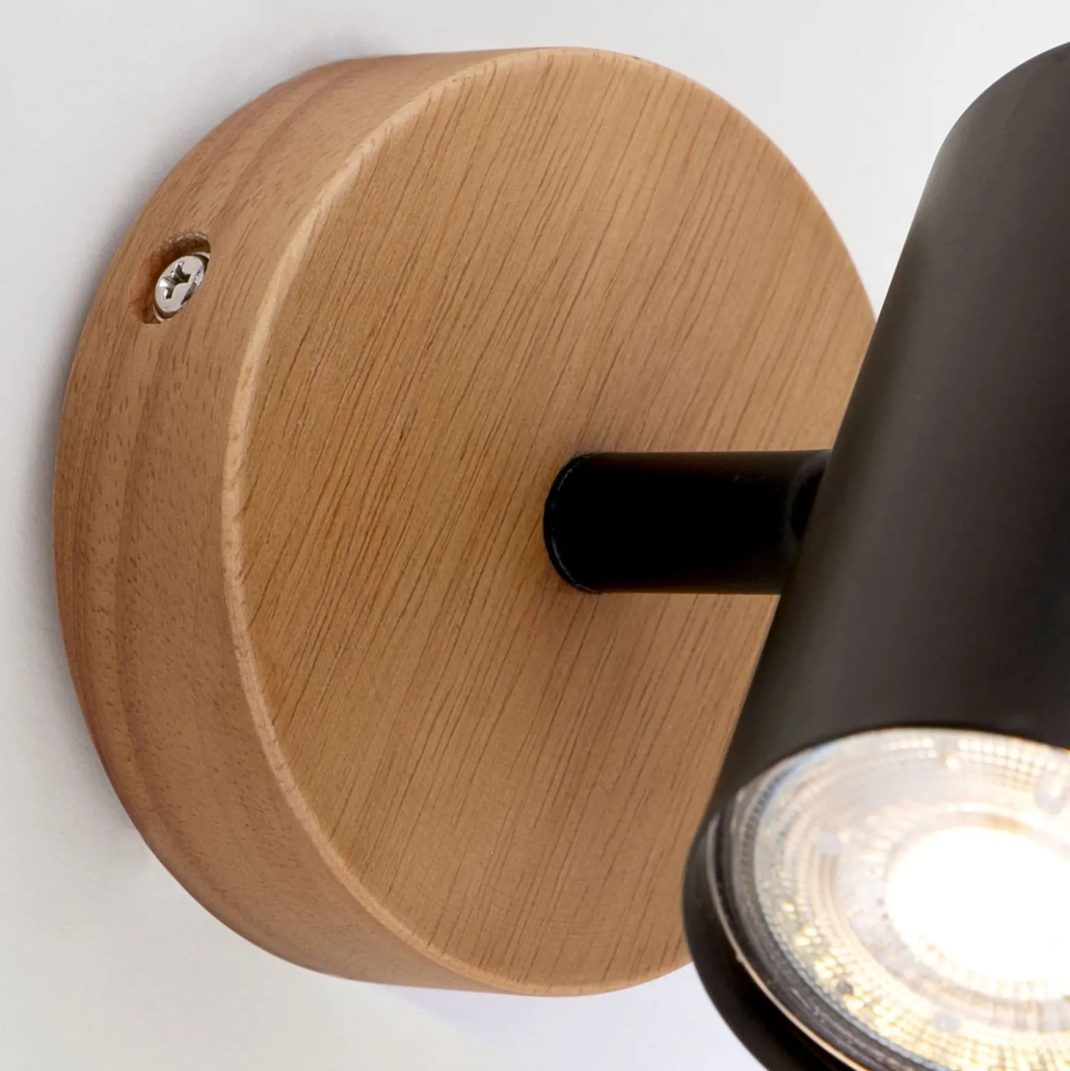 Wandspot Muritz, Holzbasis