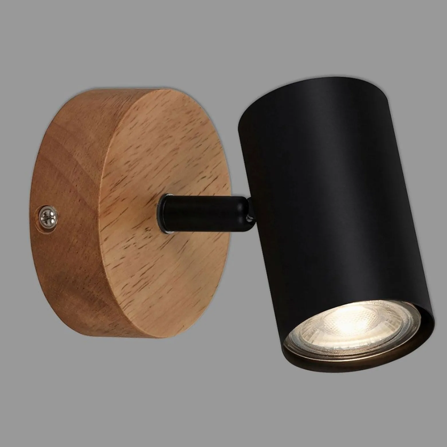 Wandspot Muritz, Holzbasis
