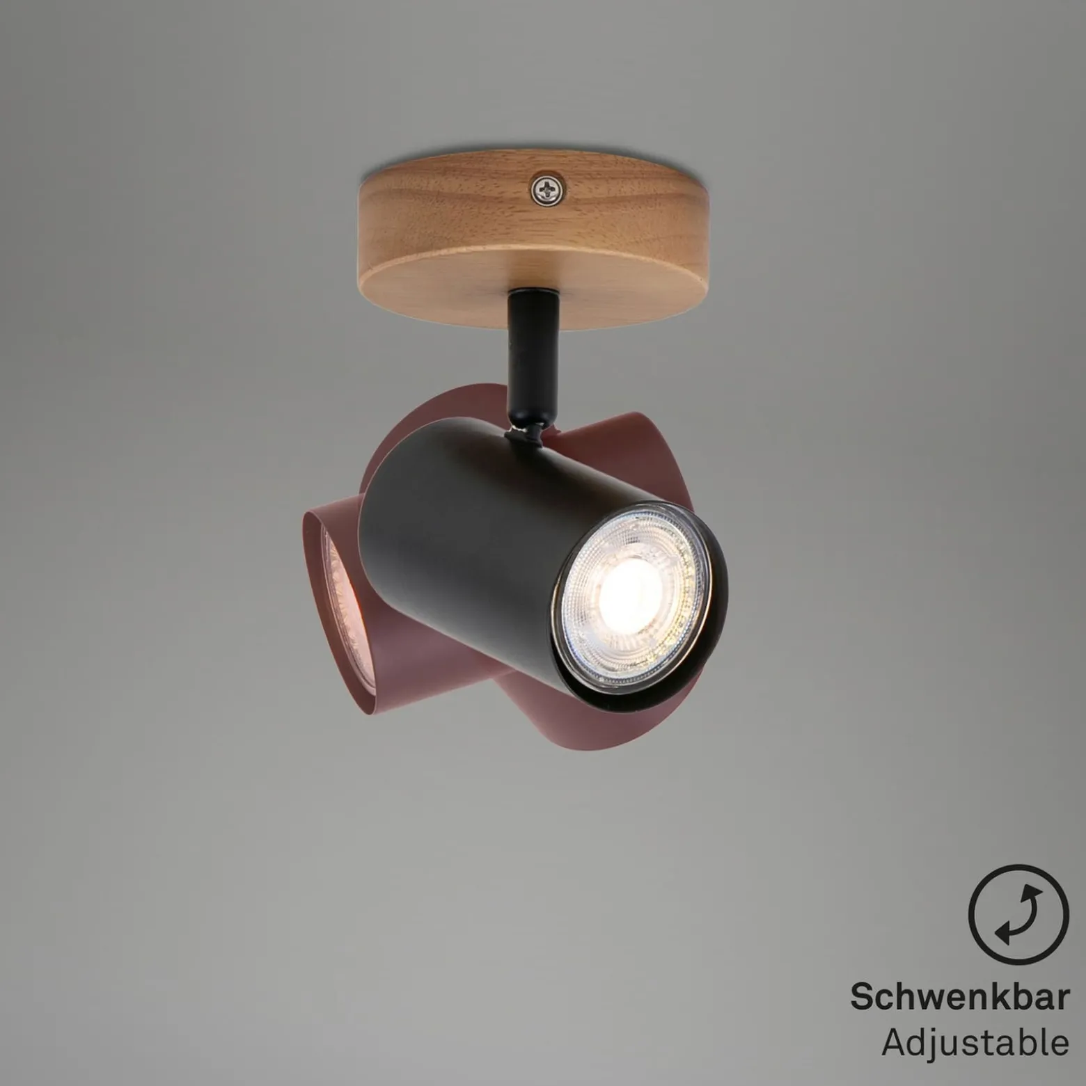 Wandspot Muritz, Holzbasis
