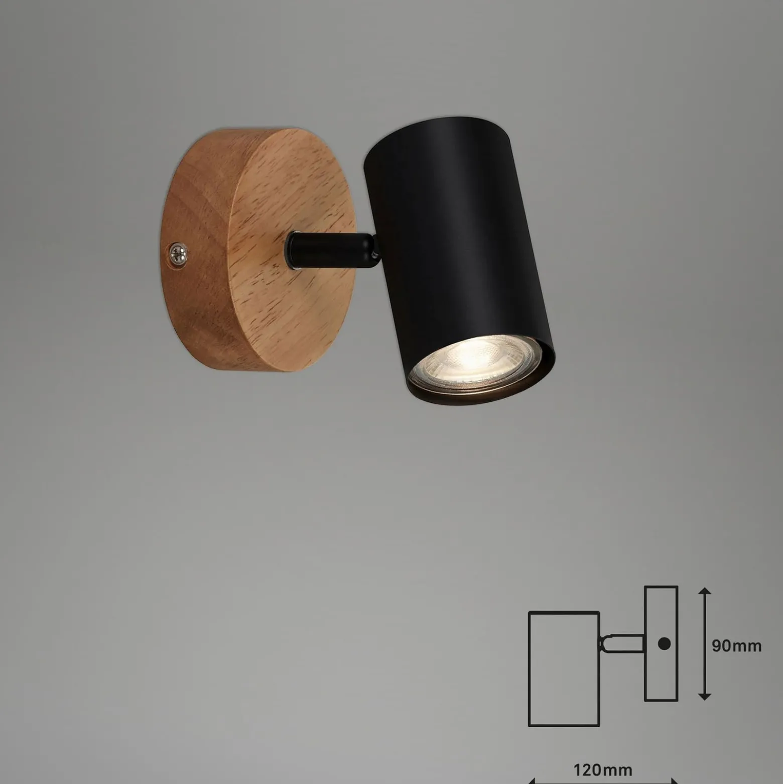 Wandspot Muritz, Holzbasis